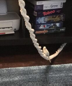 Ravenox Natural Twisted Cotton Rope | Made in The USA | Strong Triple-Strand Cordage for Sports, Décor, Pet Toys, Crafts, Macramé & Indoor Outdoor Use| by The Foot & Diameter (Multiple Color) Natural White 1/2 Inch x 10 Feet 19 81JAvcO7XvL