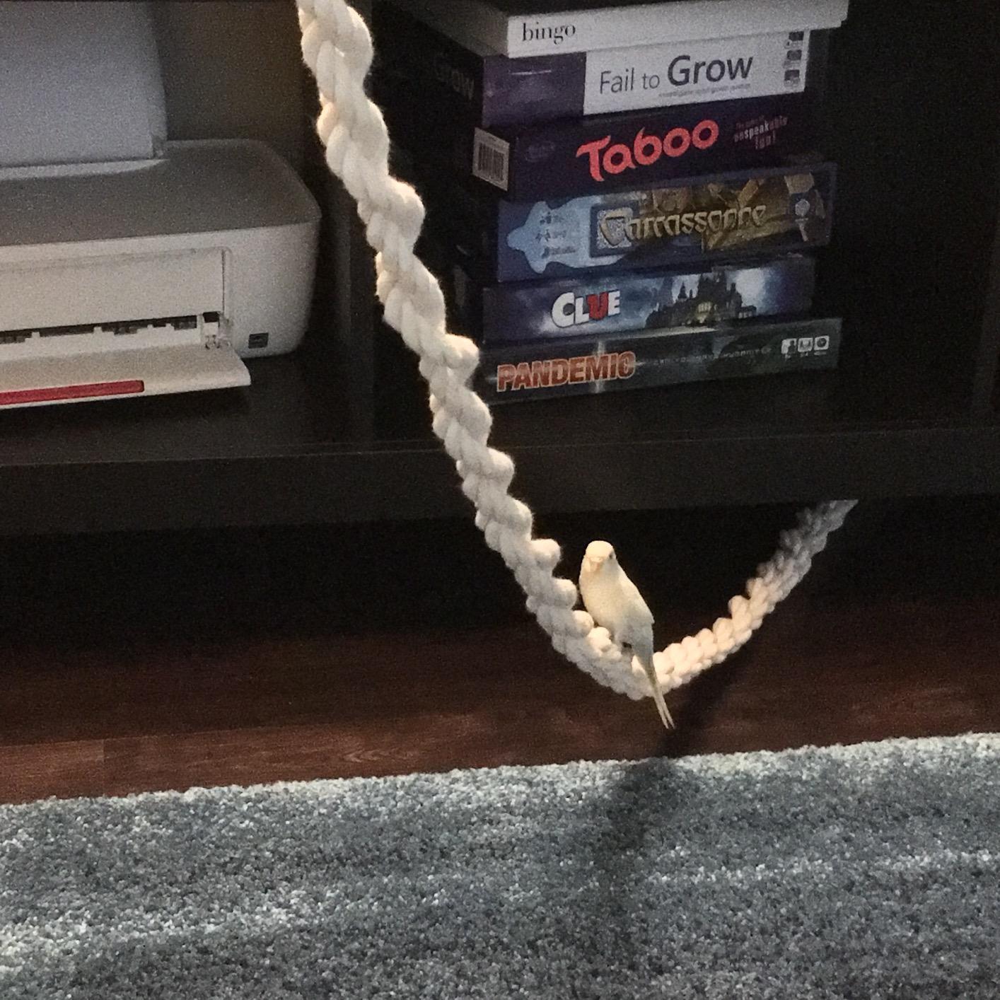 Ravenox Natural Twisted Cotton Rope | Made in The USA | Strong Triple-Strand Cordage for Sports, Décor, Pet Toys, Crafts, Macramé & Indoor Outdoor Use| by The Foot & Diameter (Multiple Color) Natural White 1/2 Inch x 10 Feet 10 Ravenox Natural Twisted Cotton Rope | Made in The USA | Strong Triple-Strand Cordage for Sports, Décor, Pet Toys, Crafts, Macramé & Indoor Outdoor Use| by The Foot & Diameter (Multiple Color) Natural White 1/2 Inch x 10 Feet - Image 10