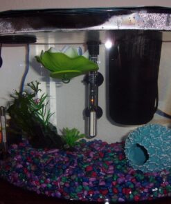 Tetra Crescent aquarium Kit 5 Gallons, Curved-Front Tank With LEDs,black 5-Gallon 32 81JCw7ZB gL