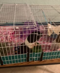 MidWest Homes for Pets Canvas Bottom (Replacement Part) for Guinea Pig Habitat Model 171GH & Guinea Pig Habitat 'Plus' Model 171GHP 47.3"L x 23.8"W x 4.3"H 30 81JFMSQMjpL