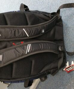 SwissGear 1900 Scansmart TSA 17-Inch Laptop Backpack, Blue/Black 19-Inch 59 81JFiJNoMnL