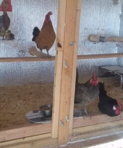 Reflectix BP24010 Series Foil Insulation, 24 in. x 10 ft, Multicolor 24 in. x 10 ft. 33 81JGc8DtEuL