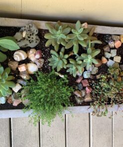 Hypnotic Gems 2 Pounds (Best Value) Bulk Rough India Stone Mix - Over 25 Stone Types - Large 1" Natural Raw Stones & Fountain Rocks for Cabbing, Tumbling, Lapidary & Polishing and Reiki Healing #A: 2 Pound Lot 36 81JHVkDFL L