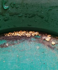 Garrett Metal Detectors New Deluxe Gold Pan Kit GAR1651410 Metal Detector Accessories 11 81JHuqjTFgL