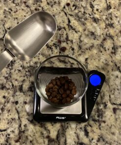 Coffee Gator Stainless Steel Canister - Large 22oz, Silver Coffee Grounds and Beans Container with Date-Tracker, CO2-Release Valve, and Measuring Scoop - Ideal Coffee Lovers Gifts for Her Gray with Green 47 81JK3LBD9gL