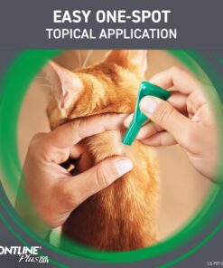 FRONTLINE Plus Flea and Tick Treatment for Cats Over 1.5 lbs., 3 Treatments 3 Doses 27 81JLzVLhrL 1