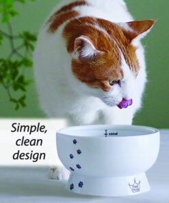 Necoichi Raised Cat Water Bowl, Elevated, with Measurement Lines, Dishwasher and Microwave Safe (Cat, Regular) 36 81JNE0D1q4L
