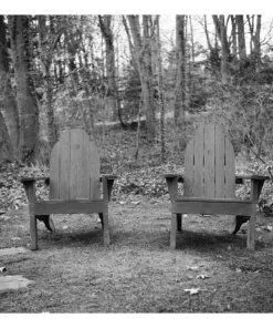 Ilford HP5 Plus Black and White Negative Film ISO 400 (120 Roll Film) 1 Pack 34 81JOD 12OcL
