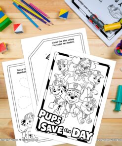 PAW Patrol 20 Page Imagine Ink Mess Free Coloring Game Book with 1 Mess Free Marker Bendon 14081 13 81JOx8EkdyL