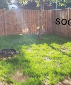 Scotts Turf Builder Lawn Food - Fertilizer for All Grass Types, 5,000 sq. ft., 12.5 lbs. 5,000 sq. ft. 54 81JPBo0klnL