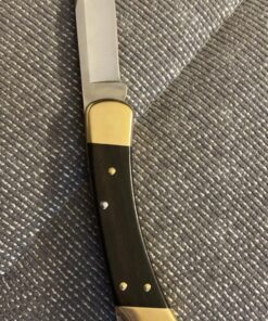 Buck Knives 110 Folding Hunter Lock-back Knife, Brass Bolsters, Ebony Handles, 3-3/4" 420HC Blade with Leather Sheath Classic 3.75" 42 81JRCyycbQL