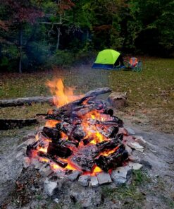 Coleman Dark Room Sundome Camping Tent, 4/6 Person Tent Blocks 90% of Sunlight and Keeps Inside Cool, Lightweight Tent for Camping Includes Rainfly, Carry Bag, and Easy Setup 4 Person 50 81JSKFeHlL