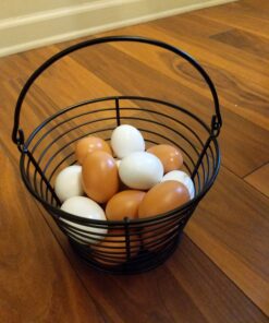 Little Giant® Small Egg Basket | Basket for Carrying and Collecting Chicken Eggs | Wire Egg Basket | Egg Collecting Basket 27 81JXtmopvRL