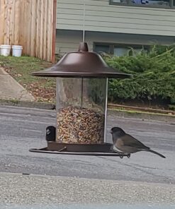 Perky-Pet 312-1SR Outdoor Panorama Wild Bird Feeder - 2 Lb Seed Capacity Brown 35 81JYiLQC mL