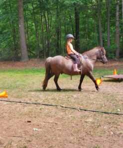 Kincade Pastel Rainbow Reins 5/8"x54" Multi Pastel 5 81JZh9BivBL