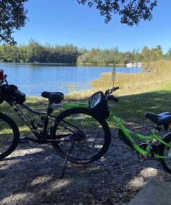 WeeRide Co-Pilot Spare Hitch, 4.3 x 3.3 x 3 inches, Silver 15 81JbScuxsYL