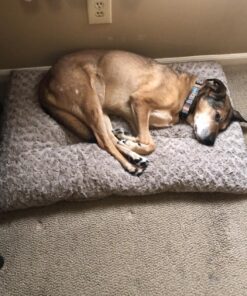 MidWest Homes for Pets Deluxe Dog Beds | Super Plush Dog & Cat Beds Ideal for Dog Crates | Machine Wash & Dryer Friendly, 1-Year Warranty Mocha 36-Inch 22 81JhAuyc4sL