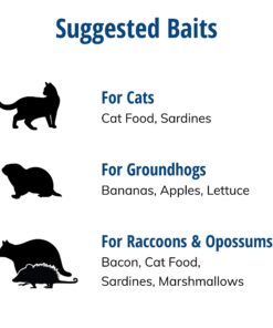 Havahart 1079SR Large 1-Door Humane Catch and Release Live Animal Trap for Raccoons, Cats, Bobcats, Beavers, Small Dogs, Groundhogs, Opossums, Foxes, Armadillos, and Similar-Sized Animals 30 81JjcGzaGsL