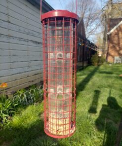 Perky-Pet 102 4 lb Squirrel Resistant Easy Feeder 28 81Jk3b76B6L