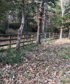 Rotary 12581 Razor Max Brushcutter Blade Replaces, Jm777 7 81JlI513rfL