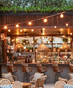 Outdoor String Lights 25 Feet G40 Globe LED Patio Lights with 13 Edison Plastic Bulbs(1 Spare), Waterproof Connectable Hanging Christmas Lights for Backyard Porch Balcony Party Xmas Decor, Black Black - LED 25 ft 29 81Jm9e SVVL