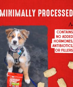 Stella & Chewy's Freeze-Dried Raw Carnivore Crunch Cage-Free Duck Recipe Dog Treats – 3.25 oz. Bag 3.25 Ounce (Pack of 1) 25 81JmMNjdJML 1