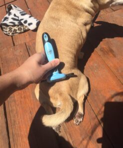 Pet Grooming Dog & Cat Brush For Shedding, Effective for Long & Short Hair Pet Grooming Tool, Reduces Dogs and Cats Shedding Hair By More Than 95%, The Professional Deshedding Tool 32 81JnVfo8L