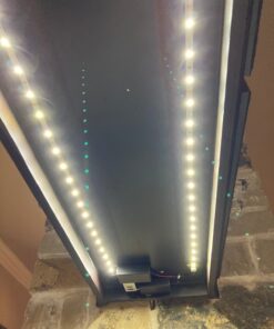 ollrieu 50ft White LED Strip Lights,12V Dimmable Tape Lighting with Infrared Remote,SMD 2835 LEDs Adhesive Ribbon Light,Connectable,Cuttable,Indoor Rope Light for Room Mirror Bedroom Kitchen 50ft Daylight white 50FT/15M 26 81Jnj5rQBL