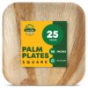 Pure Palm 10 in Party Plates Palm Leaf Plates Biodegradable Plates 25 pc Nice Compostable Bamboo Wood Look Large Square Disposable Plates, Eco Friendly Paper Dinner Plates Party Wooden Style Plates Palm 25 10" Square 33 81JqSfUCJ0L