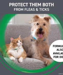 FRONTLINE Plus Flea and Tick Treatment for Cats Over 1.5 lbs., 3 Treatments 3 Doses 28 81JrfuEKCsL 1