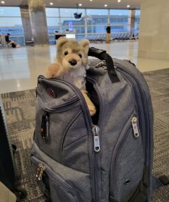 Wild Republic Wolf Plush, Stuffed Animal, Plush Toy, Gifts for Kids, Cuddlekins, 8 Inches 8 in 18 81Jwtk4J15L