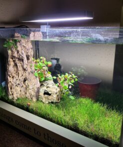 ONF Flat Nano Full Spectrum LED Aquarium Light, Dimmable 7000K / 1300lm, for <10 Gallons Rimless Fish Tanks, Freshwater Aquatic Plant Growth, Terrarium Spotlight, Potted Plant IP54 Waterproof (Silver) Silver 37 81Jxhi197FL