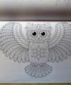 Groovy Owls Coloring Book (Coloring is Fun) (Design Originals) 32 Adorable Art Activities with Quiet, Stoic, Wise, and Happy Owls, plus Beginner-Friendly Advice, Techniques, Color Choices, & Examples Paperback, Coloring Book 58 81Jz Gc1WL