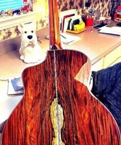 MusicNomad Guitar Complete Cleaning & Care Kit: Cleaner, Polish, Fretboard Oil & 2 Cloths (MN108) 38 81Jz8chdt2L