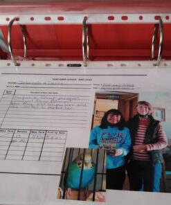 KTRIO Sheet Protectors 8.5 x 11 inch Clear Page Protectors for 3 Ring Binder, Plastic Sleeves for Binders, Top Loading Paper Protector Letter Size, 50 Pack 32 81K plrpq6L