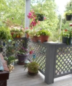 SUNGRO Horticulture SUGRBG16QT 1402040.Q16U Qt U 16 Quart All Organic Potting Soil 18 81K4C1fKZL