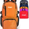 Roam 25L Hiking Daypack - Ultra Lightweight Packable Backpack - Durable, Water Resistant Folding Backpack for Travel, Camping Mango Orange 16 81K5YS hMkS