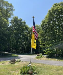 Jetlifee American Flag 4x6 Outdoor, 4x6 Flags Outside, All Weather US Flags with Embroidered Stars Sewn Stripes Brass Grommets, Vivid Color, Polyester USA Flag for Outdoor Indoor (4 by 6 Foot) 4 by 6 Foot 27 81K5gbX2lrL