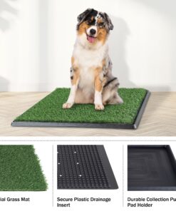 Artificial Grass Puppy Pee Pad for Dogs and Small Pets - 20x25 Reusable 3-Layer Training Potty Pad with Tray - Dog Housebreaking Supplies by PETMAKER Medium 3-Layer System 31 81K9H8yN1L