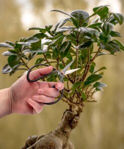 BambooMN Bonsai Tool Kit 5pc Basic Care Set - 1 Set 15 81K9ut8TLL