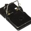 Kness SNAPERATTRAP6PK Big E 6 Pack Rat snap Traps, Black 6 81KBaf3nxOL