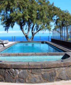 SWIMLINE HYDROTOOLS 8351 2-Piece Telescopic Pole 6 To 12 Feet Adjustable Telepole For Swimming Pool Cleaning Skimmer Nets Vacuum Heads & Brushes Step-Up Anodized Aluminum W/ Strong Grip & Lock Classic 6 to 12 FT 8 81KDZSnXvYL