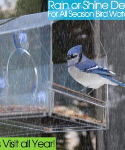 Nature Gear Window Bird Feeder - Refillable Sliding Tray - Weather Proof - Snow and Squirrel Resistant - Drains Rain Water - See Songbirds from Home! (House Style) (House Model) House 31 81KJHKBHBJL