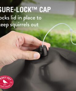 Perky-Pet 312-1SR Outdoor Panorama Wild Bird Feeder - 2 Lb Seed Capacity Brown 29 81KLYFBqLML
