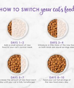 Purina Fancy Feast Dry Cat Food with Savory Chicken and Turkey - 12 lb. Bag Chicken & Turkey 12 Pound (Pack of 1) 35 81KTbN5HiZL