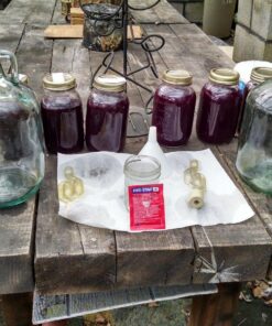 Wine Yeast Red Star Premier Classique Formerly Montrachet For Wine Making x10 27 81KTwq7Q62L