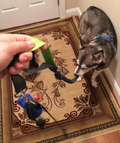 Tuff Mutt Hands Free Dog Leash For Running That Makes A Great Waist Leash for Dog Walking, Double Handle Bungee Leash with Reflective Stitching and Adjustable Dog Walking Belt green/gray 34 81KVWEjAUfL