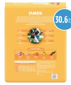 IAMS Smart Puppy Large Breed Dry Dog Food with Real Chicken, 30.6 lb. Bag 30.6 Pound (Pack of 1) 28 81KWwmG5EsL
