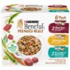 Purina Beneful High Protein, Gravy Wet Dog Food Variety Pack, Prepared Meals Stew - (6) 10 oz. Tubs 6.00 Ounce (Pack of 10)