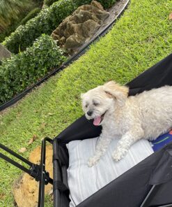 MacSports Collapsible Folding Outdoor Utility Wagon, Black 43 81KZ6ERahhL